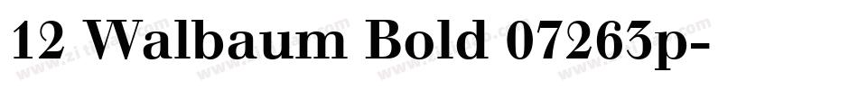 12 Walbaum Bold 07263p字体转换